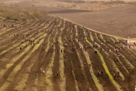 Șefa statului a plantat copaci împreună cu sute de voluntari, în comuna Băcioi  